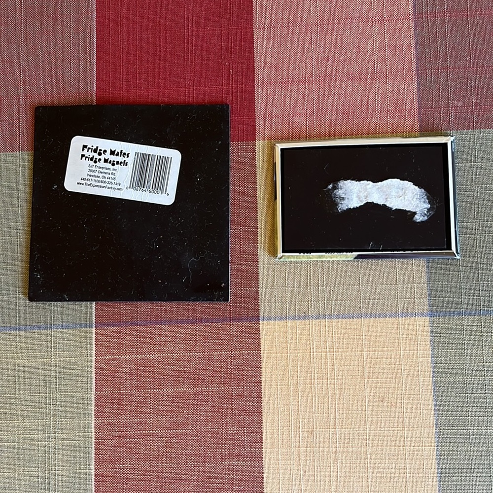2 Papillon dog magnets - Picture 2 of 2